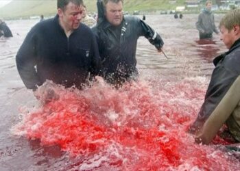 Ήρθε η εποχή του χρόνου που το νερό βάφεται κόκκινο