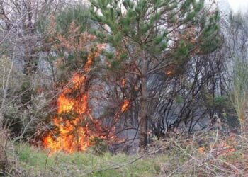 Μεγάλη δασική φωτιά στα “Παρχάρια” του Βερμίου