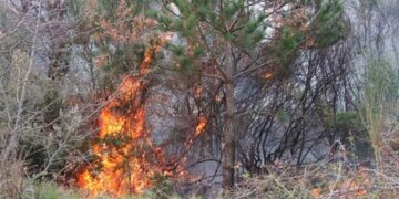 Μεγάλη δασική φωτιά στα “Παρχάρια” του Βερμίου