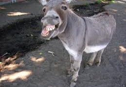 ΓΙΑ ΝΑ ΘΥΜΗΘΟΥΜΕ… ΤΙ ΕΛΕΓΕ Ο ΔΑΣΚΑΛΟΣ !!!