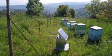 Έναρξη υποβολής αιτήσεων για αγορά και εγκατάσταση ηλεκτροφόρων περιφράξεων