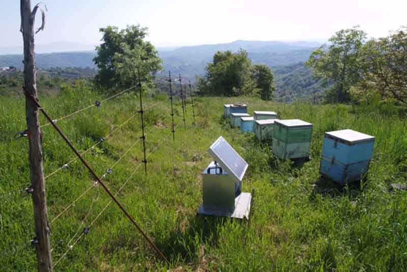 Έναρξη υποβολής αιτήσεων για αγορά και εγκατάσταση ηλεκτροφόρων περιφράξεων