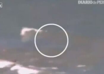 Καρχαρίας τραυμάτισε θανάσιμα 18χρονη (video)