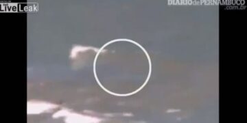 Καρχαρίας τραυμάτισε θανάσιμα 18χρονη (video)