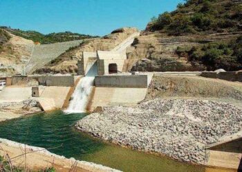 Εμπλουτίζονται με γόνο κυπρίνου τα γεωφράγματα του Βοΐου