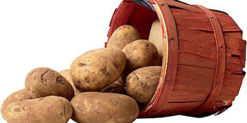 “Γιορτή Πατάτας”  στον Φούφα