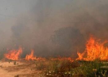 Πυρκαγιά σε χορτολιβαδική έκταση στο Ξινό Νερό