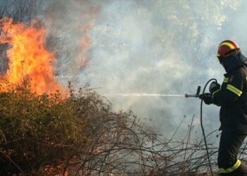 ΒΟΪΟ ΚΑΙ ΓΡΕΒΕΝΑ: Πυρκαγιές σε χορτολιβαδικές εκτάσεις