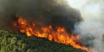 Πυρκαγιές σε Πολύμυλο, Μόρφη και Πρέσπες