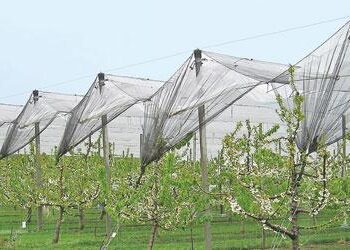 Αιτήσεις στο πρόγραμμα ενεργητικής προστασίας καλλιεργειών του ΕΛΓΑ για το 2013