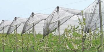 Αιτήσεις στο πρόγραμμα ενεργητικής προστασίας καλλιεργειών του ΕΛΓΑ για το 2013