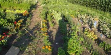 Ξάνθη: Πότιζε τον κήπο του όταν αντίκρισε… τον «γίγαντα»