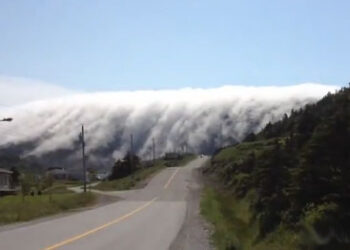 Ομίχλη «καταπίνει» ολόκληρη πόλη (video)