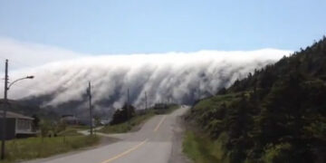 Ομίχλη «καταπίνει» ολόκληρη πόλη (video)