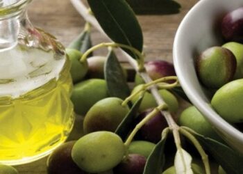 Το κρητικό ελαιόλαδο που σάρωσε τα βραβεία σε διεθνή διαγωνισμό
