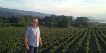 ΣΥΜΠΟΣΙΟ ΟΙΝΟΥ τον Οκτώβριο στο Βελβεντό: «ΒΕΛΒΕΝΤΟ ΤΟ ΟΙΝΟΦΟΡΟ»