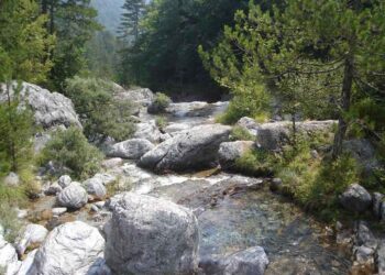 Σύλλογος Ελλήνων Ορειβατών (Σ.Ε.Ο.) Κοζάνης: Εξόρμηση στον Όλυμπο