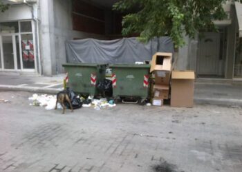 Έκκληση του Αντιδημάρχου Εορδαίας στους δημότες για μια πιο καθαρή πόλη