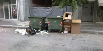 Έκκληση του Αντιδημάρχου Εορδαίας στους δημότες για μια πιο καθαρή πόλη