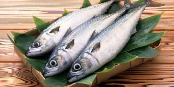 Μάθε πόσο φρέσκο είναι ένα ψάρι