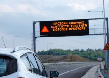 “ΕΓΝΑΤΙΑ ΟΔΟΣ” και μέτρα που έχουν ληφθεί για την προστασία της αρκούδας