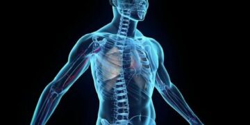 Ήξερες ότι…; Παράξενες αλήθειες για το ανθρώπινο σώμα