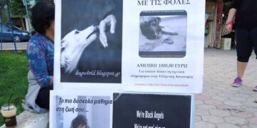 ΜΑΡΤΥΡΑΣ ΕΓΚΛΗΜΑΤΟΣ – Του Πολιτίδη Χρήστου