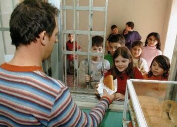 Ποια τρόφιμα επιτρέπεται να πωλούνται στα σχολεία