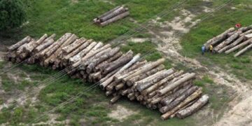 Άρχισαν τη “δράση” τους οι λαθροϋλοτόμοι