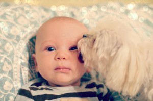 a boy and his dog newborn with puppy dog photo pictures cute adorable kiss