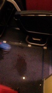 10513241_10204246787553799_4570326403267557470_n