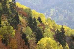 2DA3A836C9098712BAB5F0AF78545BDD