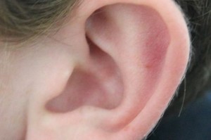 640px-Earrr