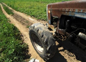 Ποιοι αγρότες απαλλάσσονται από την τήρηση βιβλίων και στοιχείων