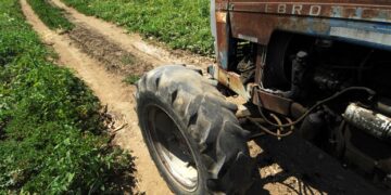 Ποιοι αγρότες απαλλάσσονται από την τήρηση βιβλίων και στοιχείων