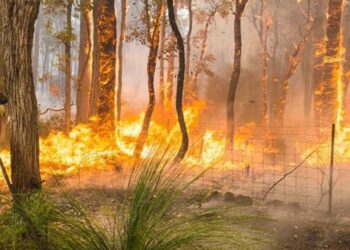 Περισσότερες από 250 φωτιές ξέσπασαν τη νύχτα στην Αυστραλία