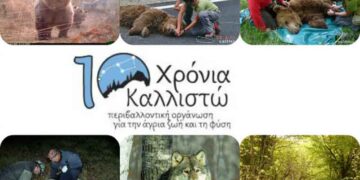 10 χρόνια κλείνει η “ΚΑΛΛΙΣΤΩ”