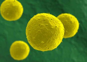 Ανησυχητική έρευνα: Η βιταμίνη Ε και τα αντιοξειδωτικά επιταχύνουν τον καρκίνο