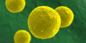 Ανησυχητική έρευνα: Η βιταμίνη Ε και τα αντιοξειδωτικά επιταχύνουν τον καρκίνο