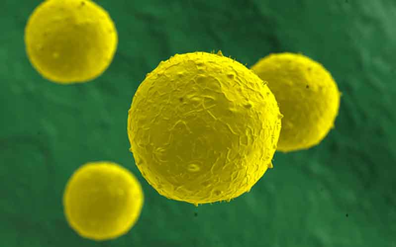 Ανησυχητική έρευνα: Η βιταμίνη Ε και τα αντιοξειδωτικά επιταχύνουν τον καρκίνο