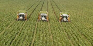 Πρακτικές αγροτικής επιχειρηματικότητας