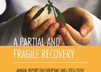 Ετήσια Έκθεση της ΕΕ για τις Μικρομεσαίες Επιχειρήσεις: Μια εύθραυστη και μερική ανάκαμψη