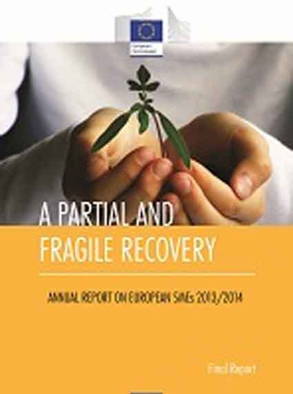 Ετήσια Έκθεση της ΕΕ για τις Μικρομεσαίες Επιχειρήσεις: Μια εύθραυστη και μερική ανάκαμψη