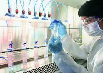 Ανθρώπινο στομάχι από βλαστοκύτταρα δημιούργησαν Ελληνες και Αμερικανοί ερευνητές