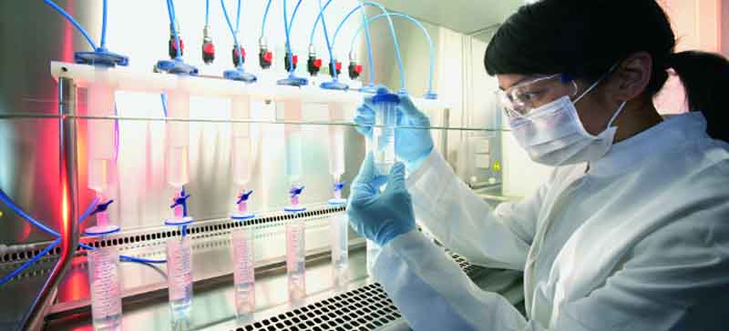 Ανθρώπινο στομάχι από βλαστοκύτταρα δημιούργησαν Ελληνες και Αμερικανοί ερευνητές