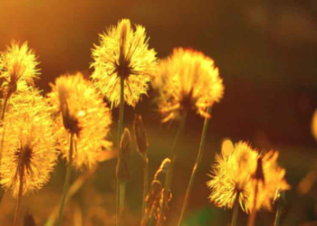 Μίνι… καύσωνας -Σε ποιες περιοχές ο υδράργυρος θα χτυπήσει 30άρια