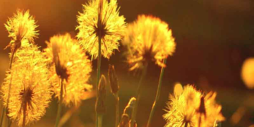 Μίνι… καύσωνας -Σε ποιες περιοχές ο υδράργυρος θα χτυπήσει 30άρια