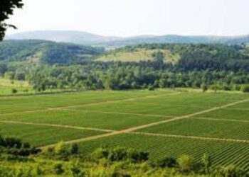 Παρατείνεται η συλλογή Δηλώσεων Ιδιοκτησίας στην Π.Ε. Κοζάνης