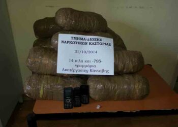 Σύλληψη 2 αλλοδαπών στην Καστοριά για εισαγωγή 14 κιλών κάνναβης