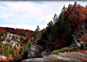 Συνεδρίαση Τοπικού Συμβουλίου Δημοτικής Κοινότητας Σιάτιστας